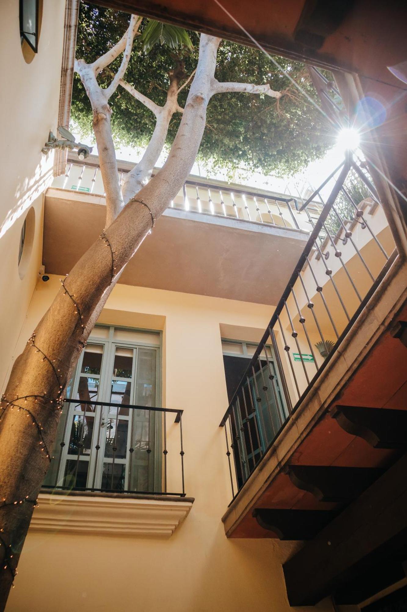 Casa Florida Bed & Breakfast Сан Мигел де Аленде Екстериор снимка